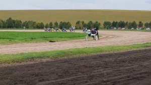 конноспортивные соревнования V этапа Большого Сибирского круга-2025, село Новотырышкино