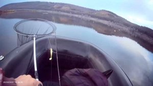 Рыбалка на кружки и спиннинг🎣 Была всего одна сработка, удалось словить щуку.