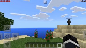 Выживание на острове