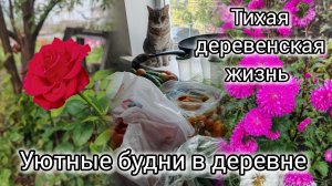 Тихая и размеренная жизнь в деревне влог, уютные деревенские будни
