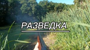 Охота в последний день лета. Куница, утки, утята.