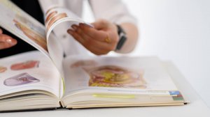 Занятия по реабилитации мышц тазового дна. Краткий обзор и необходимая информация