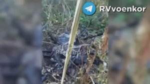 🇷🇺🔥🇺🇦⚡Ожесточённые бои у Покровска: «🅾️тважные» массово сжигают технику и пехоту ВСУ