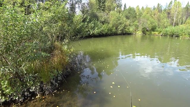 Рыбалка на речке Елбань смотреть онлайн