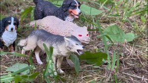 Сумерки. Новолуние - Трейлер 1 (2025)