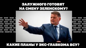 Какие планы у экс-главкома ВСУ?