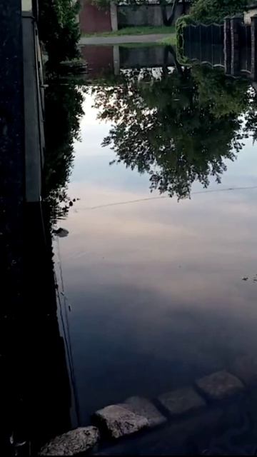 Ливневый паводок в Калиниграде