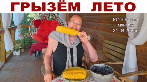 ГрызЁм Лето или КОТоБудни от 31.08.2025г.