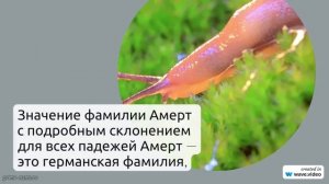 Узнайте все о фамилии Амерт: происхождение, история и значение с подробным склонением для всех