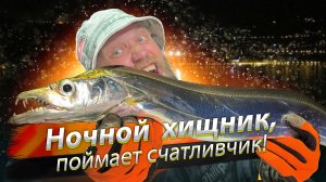 🇹🇼 Клыкастая рыба-сабля. Ночная рыбалка в океане