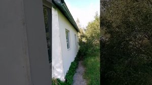 презентация