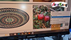 Про принтер для логопеда, Epson L110