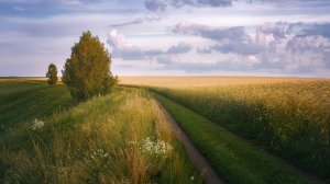 "СЧАСТЬЕ ЛЕТНИХ ДНЕЙ"... (Фото Светланы УРМАНЦЕВОЙ (Уфа), музыка Дианы АРКЕНСТОУН (США))