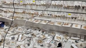 💎🌟Блестящие находки! Топовая бижутерия, которая покорит ваше сердце . заказ на ватсап +79083191849