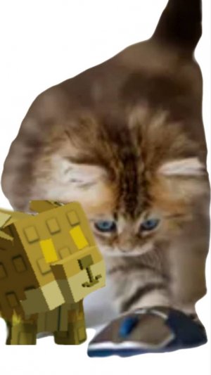 БЕДВАРС В КИМЕРОМ