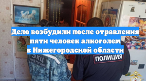 Дело возбудили после отравления пяти человек алкоголем в Нижегородской области
