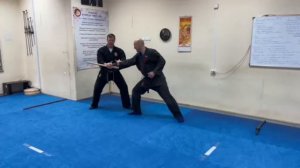 Прямая-Трансляция тренировок: Будзинкан направления и других школ.