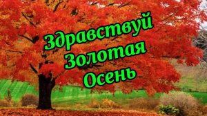 Здравствуй золотая осень. Видео поздравление с осенью!