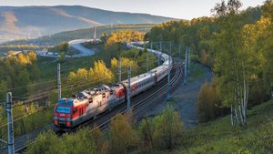 Умерла пассажирка, впавшая в кому в поезде Волгоград – Москва