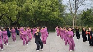 Упражнение Ушу (Тайцзицюань)