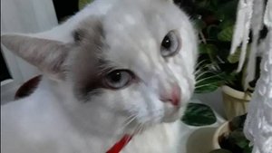 Маруся-топотушка! Благодарю за дружбу!-архив-29.01.25