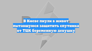 В Киеве пнули в живот пытавшуюся защитить спутника от ТЦК беременную девушку