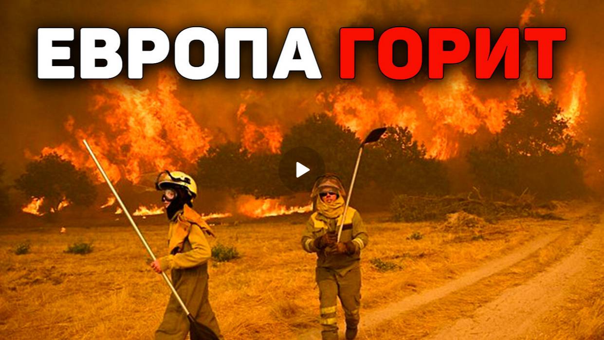 Как мы привыкаем к климатическим катастрофам? Эффект сдвига базовой линии