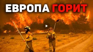 Как мы привыкаем к климатическим катастрофам? Эффект сдвига базовой линии
