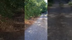 ❗ЦЕНЫ❗Крым & Дальний Восток