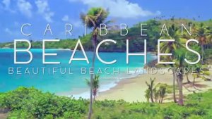CARIBBEAN BEACHES IN 4K DRONE FOOTAGE (ULTRA HD) - Paradise Beach Landscapes Footage UHD