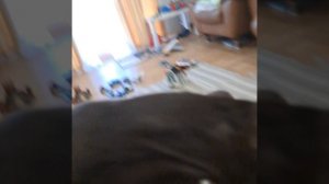 1000028855.mp4
