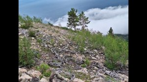 Эпизод 6 Маркова СШ FHD