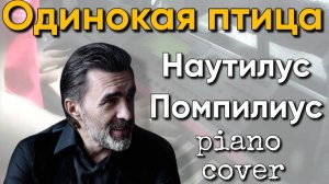 Одинокая птица - Наутилус Помпилиус Piano cover