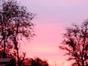 разбираемся в разборках миланы и Насти