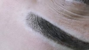 ПЕРМАНЕНТ ТАТУАЖ БРОВЕЙ СРЕДНИЙ ПРОКРАС | ПЕРМАНЕНТНЫЙ МАКИЯЖ - ТАТУАЖ  ЭЖВА | CHEBOTAR'