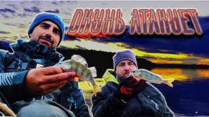 НАШЛИ СТАЮ ОКУНЕЙ, КОТОРЫЕ СДЕЛАЛИ ВСЮ РЫБАЛКУ. АТАКИ НА КАЖДОЙ ПРОВОДКЕ.