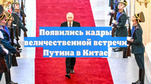 Появились кадры величественной встречи Путина в Китае