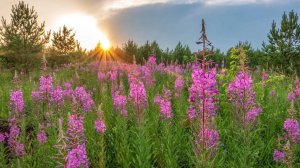 Красивый танец на площади.