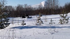 PAXUS 500 AVANT С ТОЛКАЧЕМ