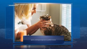 День ветеринара в России. Календарь Губернии от 31 августа