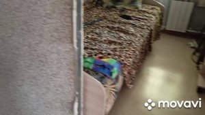 31 августа начинаем ремонт в доме