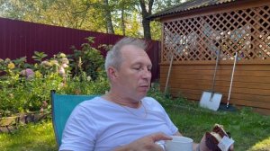 Теплый день! Осы выгнали с дачи