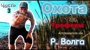 Рыбалка в Астраханской области на р. Волга август 2025. Часть 3