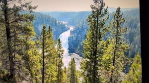 737.С воскресным днём!