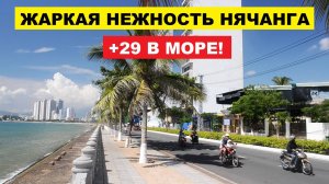 Вьетнам. Нячанг погода сегодня 31 августа 2025 ☀️ Тропический пар: море тёплое, жара плотная