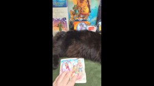 ДЕВА - Сентябрь/прогноз таро/ ♍ #shorts