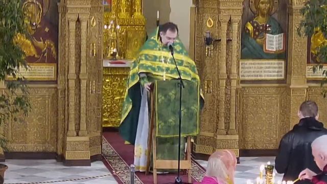 Пятидесятница. Проповедь протоиерея Димитрия Сизоненко смотреть онлайн