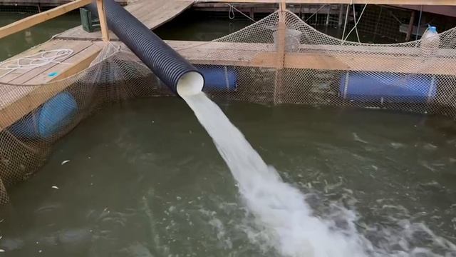 31-08-2025 смотреть онлайн