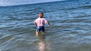 Сокольники Калининград 31 августа 2025