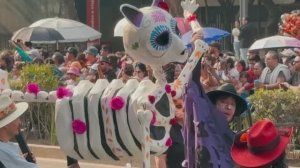 Без прикрас: Мехико — Пешеходная Экскурсия, Уличная Еда, Модные Кафе, Шопинг. Видео в формате 4К